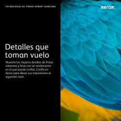 XEROX Toner B600B605B610B615 Tambor (60.000 Pag) **Metered**