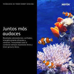XEROX Toner Alta Capacidad Toner B7025B7030B7035
