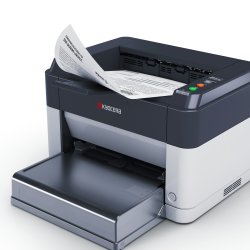 KYOCERA Impresora Laser Monocromo ECOSYS FS-1061DN (Tasa Weee incluida)