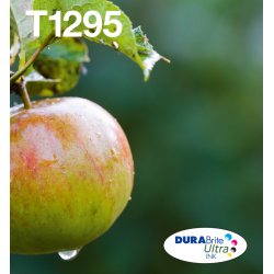 EPSON T129 Apple multipack in Easy Mail packaging