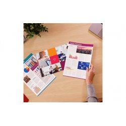 BROTHER Pack de 4 cartuchos de tinta negro, cian, magenta y amarillo LC421XLVAL para DCP-J1050DW / D