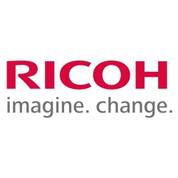 RICOH Toner CL-4000DN/Aficio SPC410DN Amarillo (Type 245) Alta capacidad