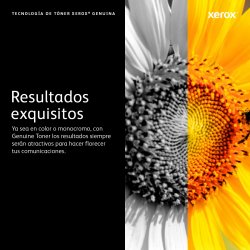 XEROX Toner C7020C7025C7030 Alta Capacidad Negro Toner