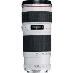 Canon IPF 8300 Cartucho Cian PFI-704C