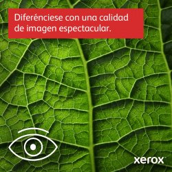 Xerox Impresoras Multifuncion Blanco y Negro B315