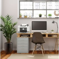 CANON Multifuncion MAXIFY GX4050