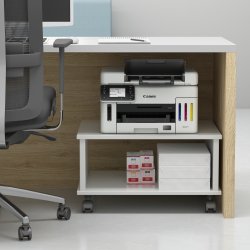 CANON Multifuncion MAXIFY GX6550